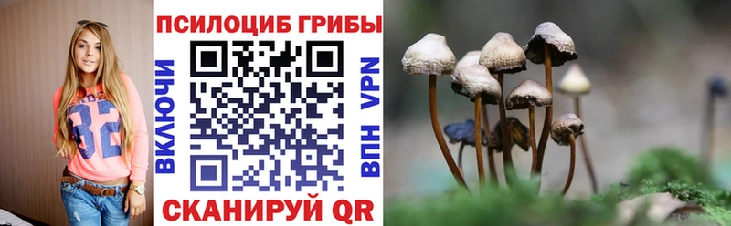 Галлюциногенные грибы Cubensis  ОМГ ОМГ ССЫЛКА  Волгоград 